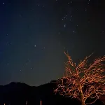 Mosslacher's Apartment *