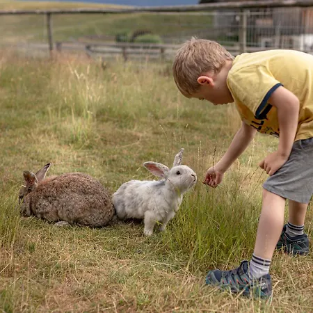 Moesslacher's * Хермагор