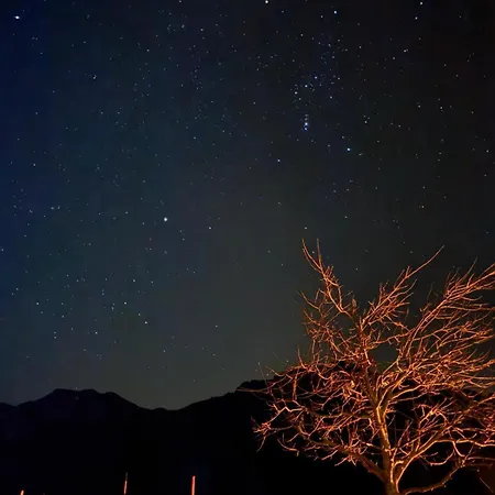 Moesslacher's Апартаменты *