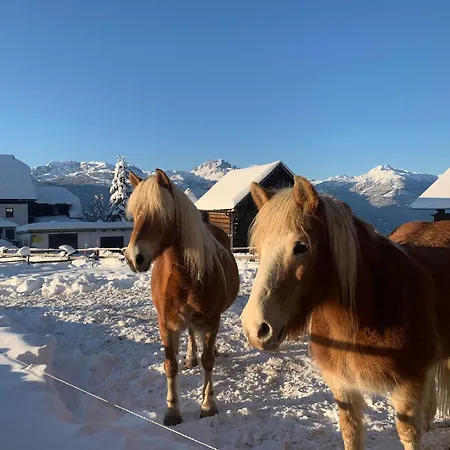 Moesslacher's Appartement