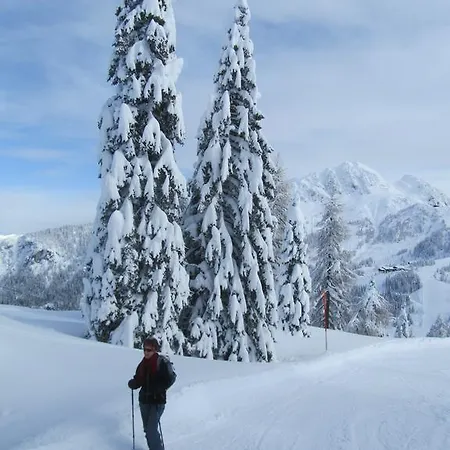 Апартаменты Moesslacher's Хермагор