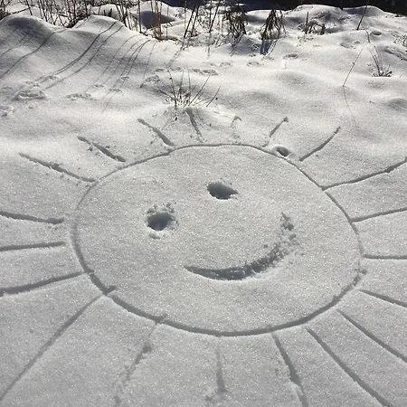 Апартаменты Moesslacher's