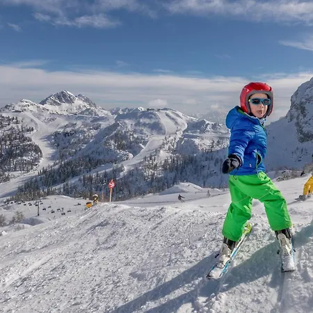 Moesslacher's Апартаменты *