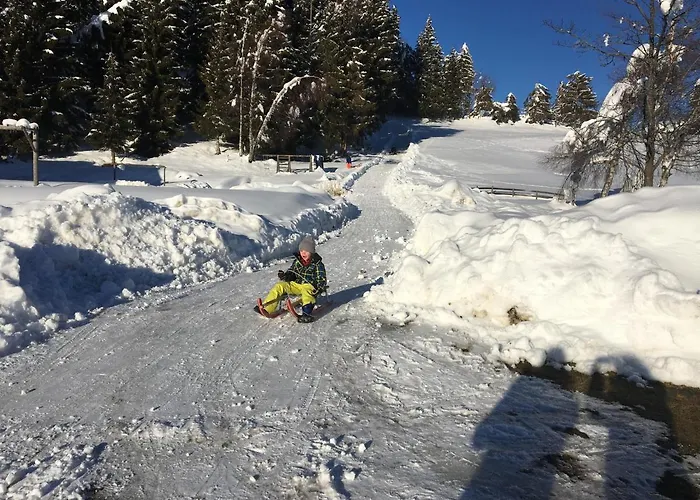 Moesslacher's Appartement *