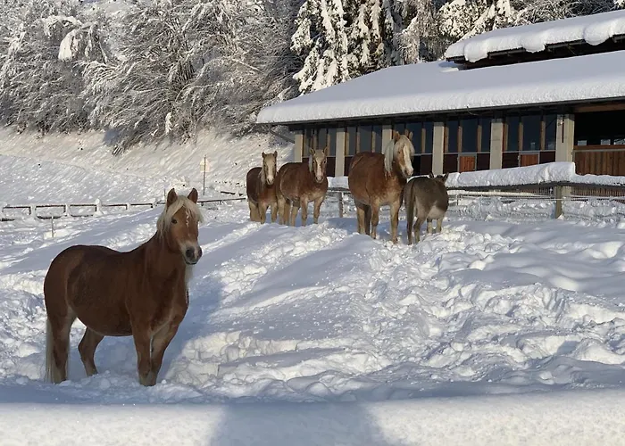 Appartement Moesslacher's *