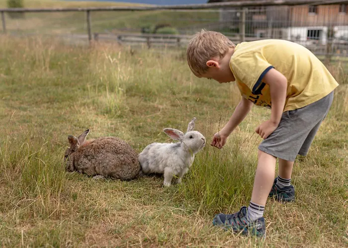 Moesslacher's * Hermagor-Pressegger See