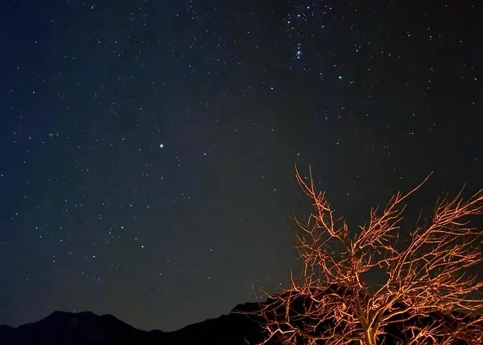 Moesslacher's Appartement *