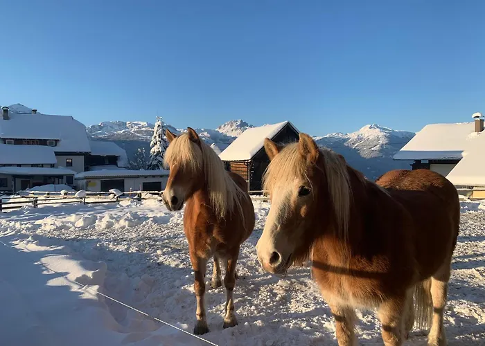 Moesslacher's Appartement