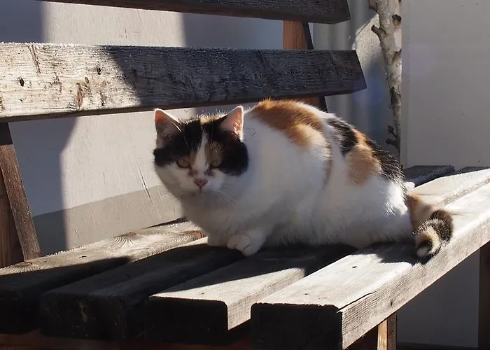 Appartement Moesslacher's *