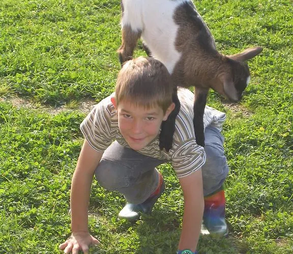 Moesslacher's * Hermagor-Pressegger See