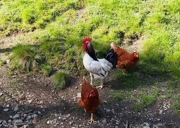 Mösslacher's Hermagor-Pressegger See